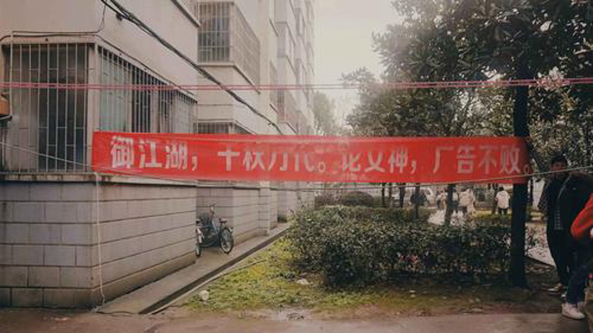 彬为树科技